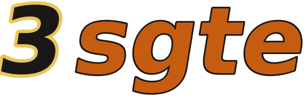 3sgte logo